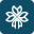 FlowerAura logo